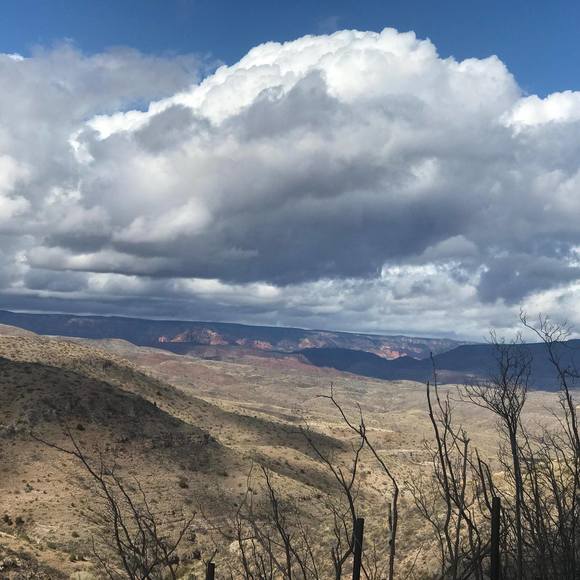 Meet your Posher, Kelly - Picture 1 of 1